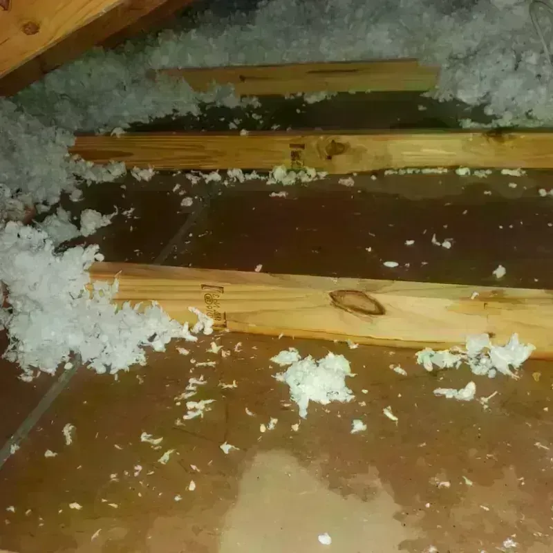 Attic Water Damage in Wilmington, OH