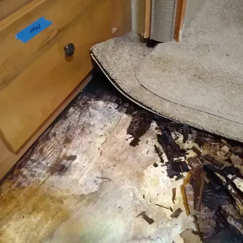 Wood Floor Water Damage in Wilmington, OH